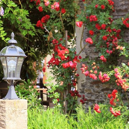 Pension Martinerhof Wintrich Esterno foto